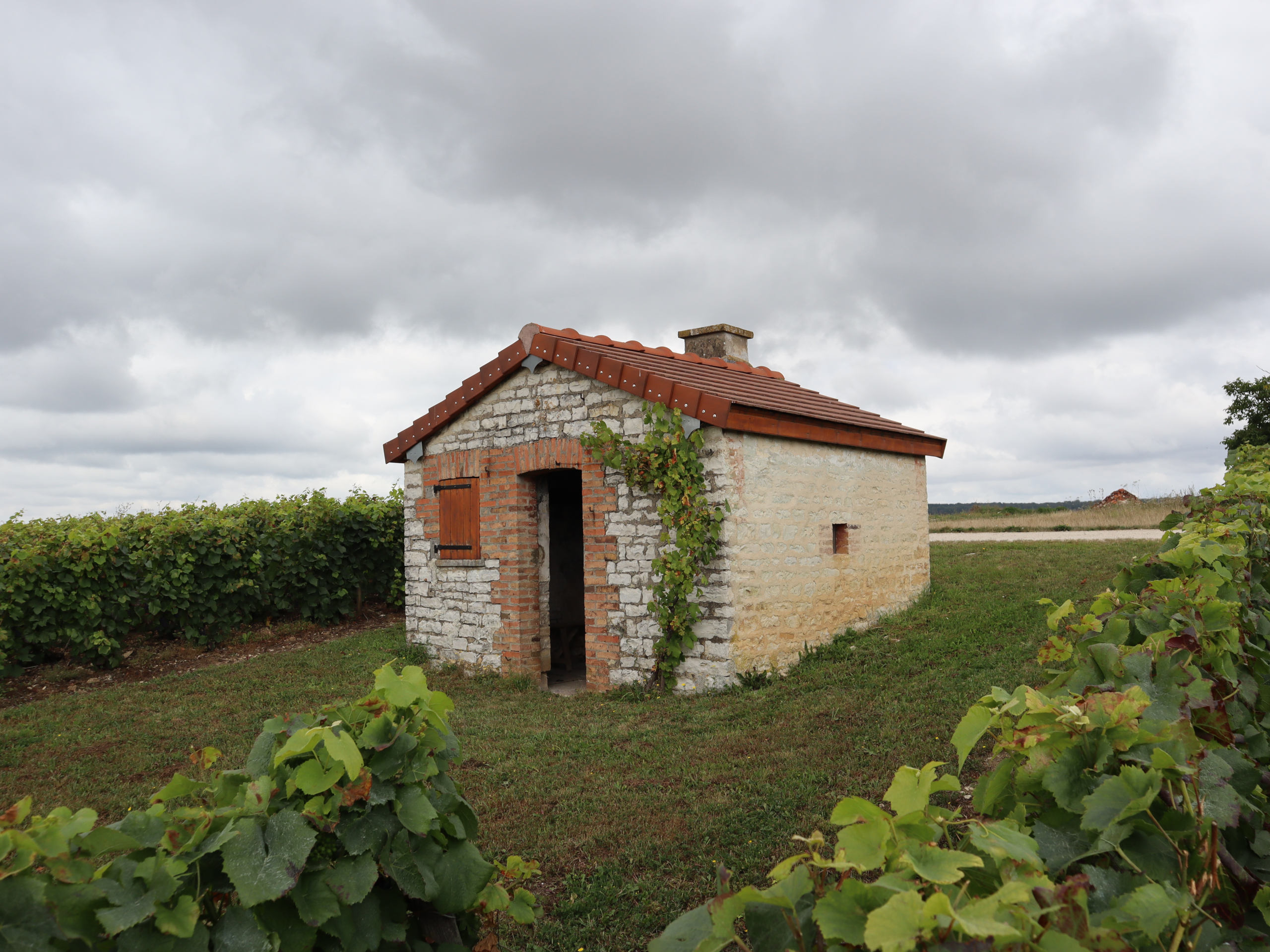 Cabane en pierre dans les vignes